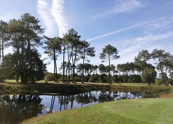Chalet Prestige Au Coeur Du Bassin D\'Arcachon