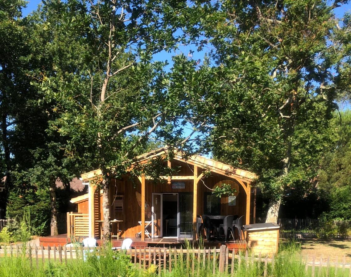 Prestige Au Coeur Du Bassin D'arcachon